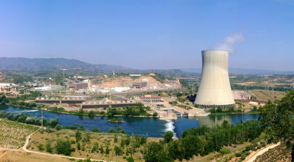 asco_crchecked_dd_endesa IAEA Spain